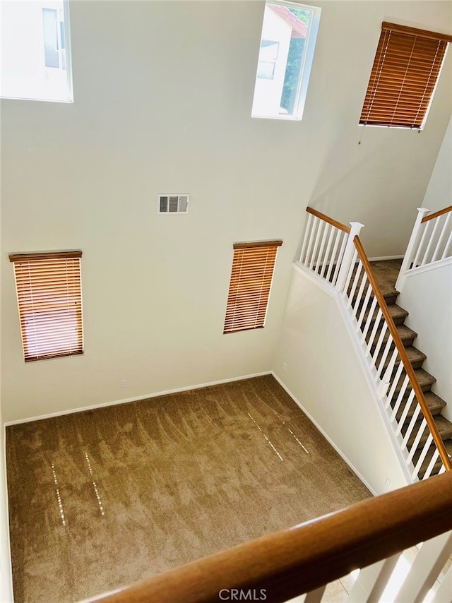 stairs featuring carpet floors