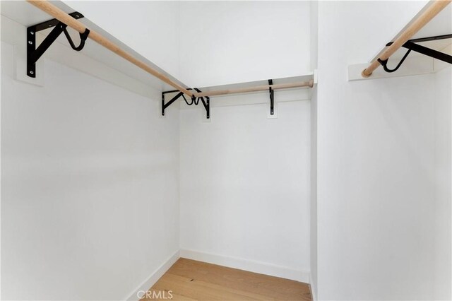 spacious closet with light wood-type flooring