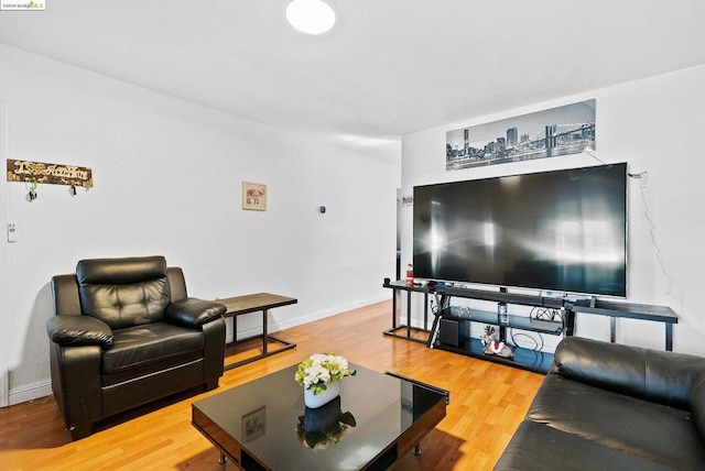 living room with hardwood / wood-style floors