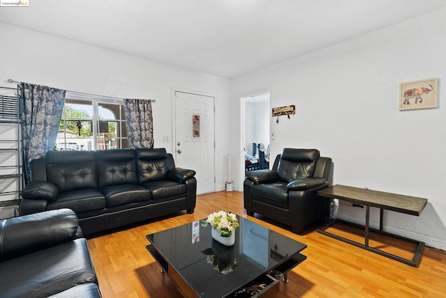 living room featuring hardwood / wood-style flooring