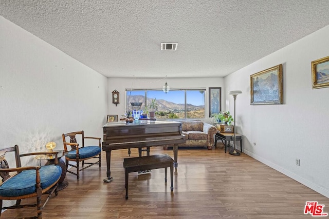 miscellaneous room with wood-type flooring, a mountain view, and a textured ceiling