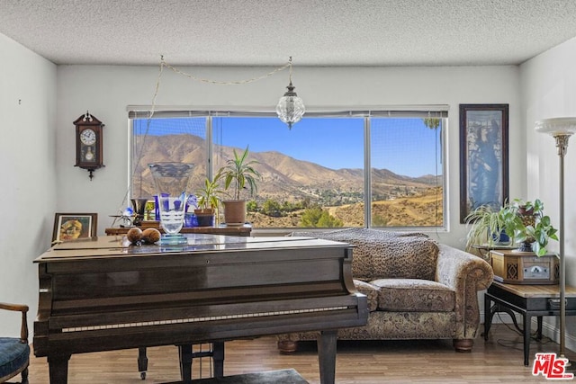 misc room with a mountain view, a textured ceiling, and hardwood / wood-style flooring