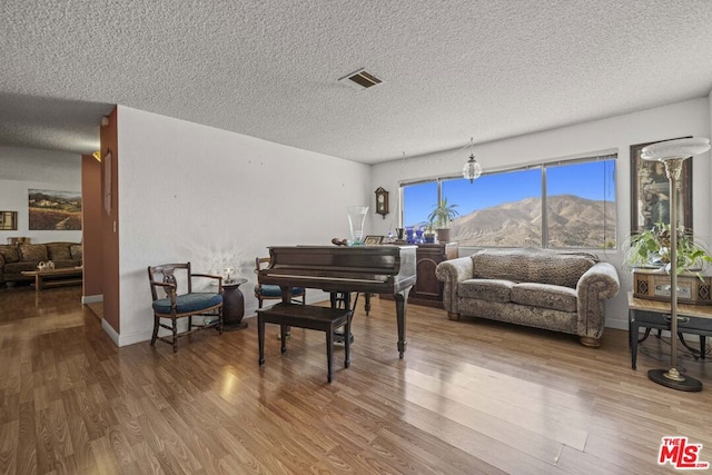 interior space with a mountain view, hardwood / wood-style floors, and a textured ceiling