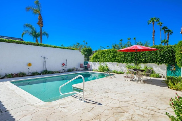 view of swimming pool featuring a patio