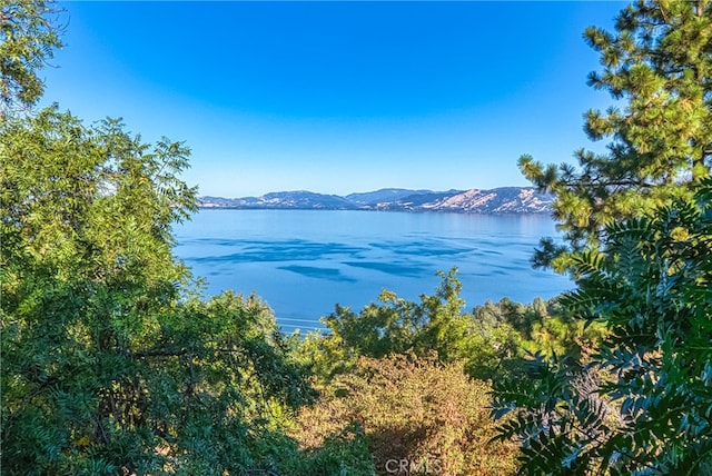 water view featuring a mountain view