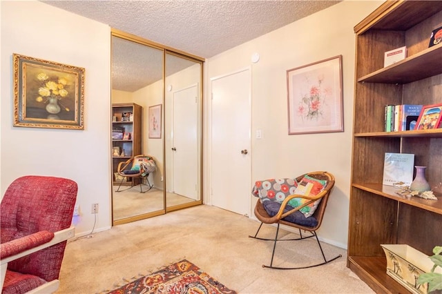 sitting room with light carpet and a textured ceiling