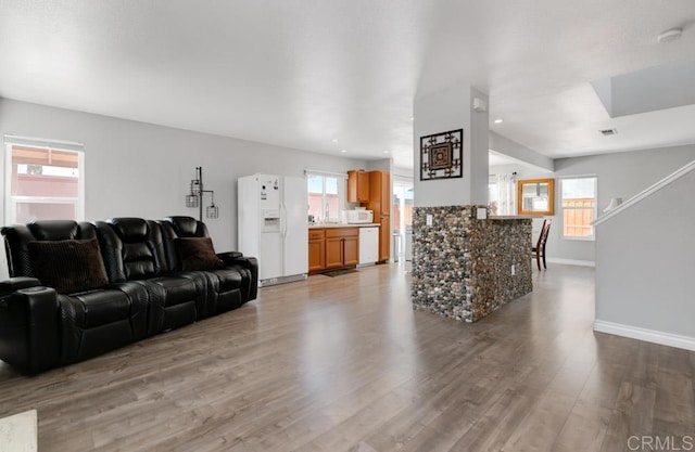 living room featuring hardwood / wood-style floors