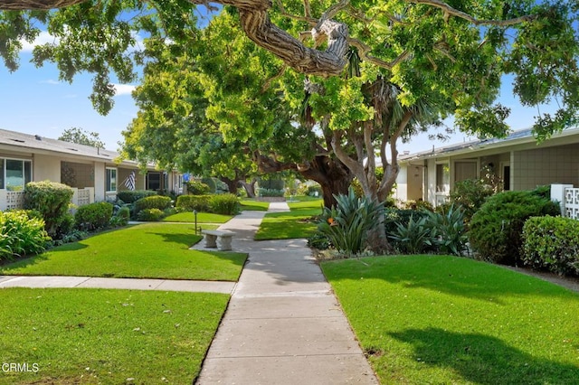 surrounding community featuring a lawn