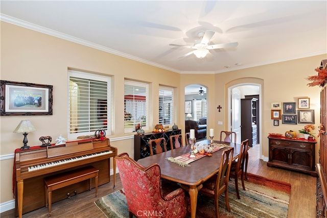 dining area with crown molding, ceiling fan, and wood-type flooring