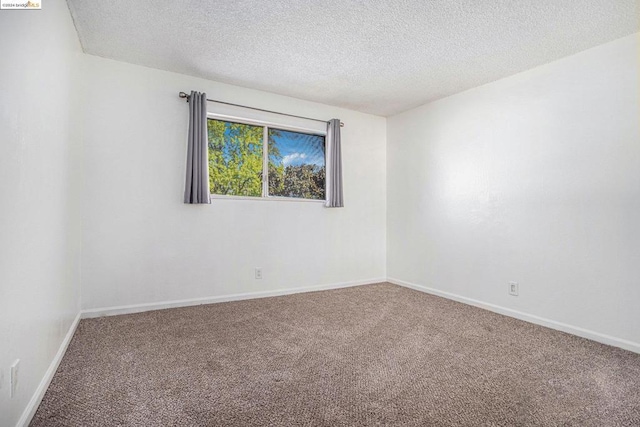 unfurnished room with carpet and a textured ceiling