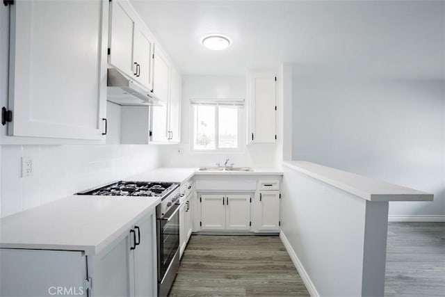 823 N Lagoon Ave, Wilmington, CA 90744 - photo 20