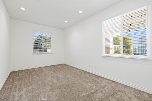 unfurnished room with carpet floors and a healthy amount of sunlight