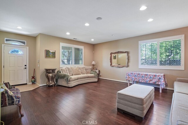 living room featuring dark hardwood / wood-style flooring