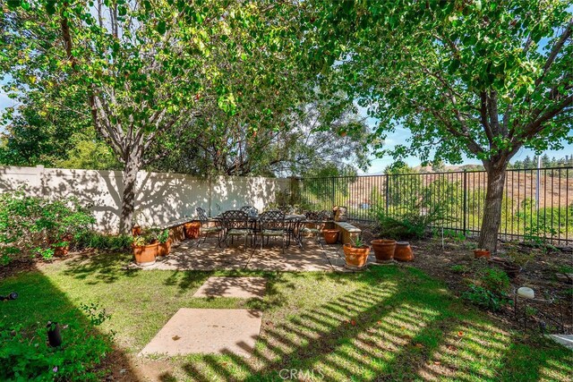 view of yard with a patio area