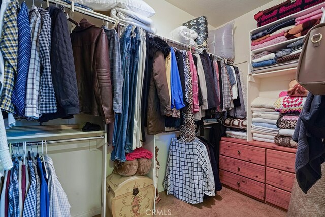 spacious closet featuring carpet flooring