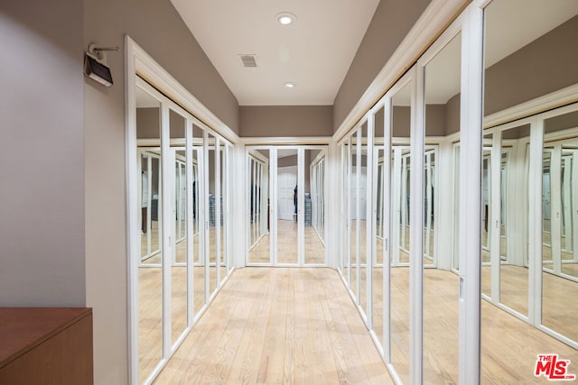 spacious closet featuring wood-type flooring