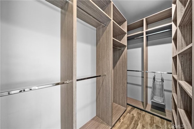 spacious closet with light hardwood / wood-style flooring