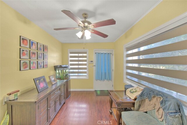 sitting room with ceiling fan, dark hardwood / wood-style floors, and ornamental molding