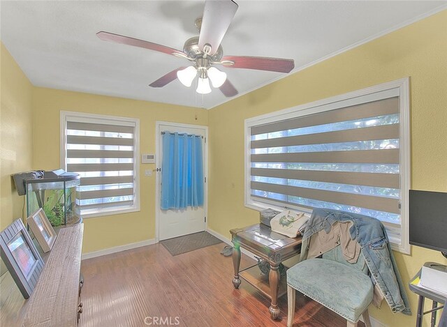 sitting room featuring wood-type flooring and ceiling fan