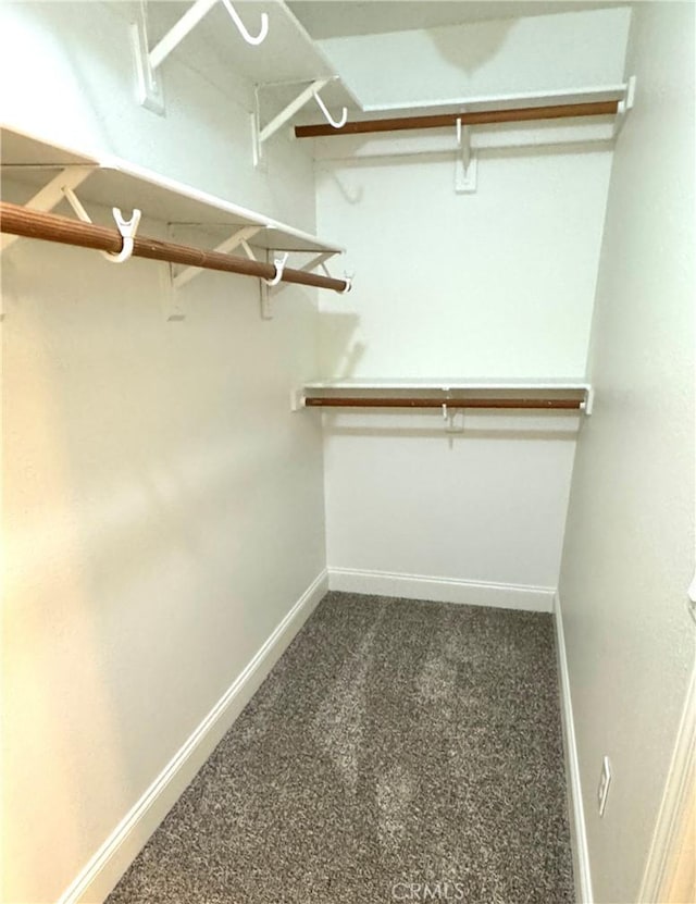 walk in closet with dark colored carpet