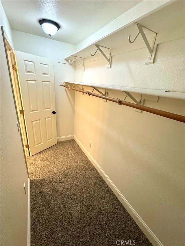 spacious closet with carpet