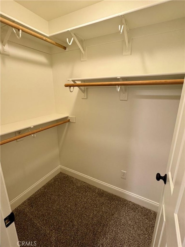 walk in closet featuring carpet flooring