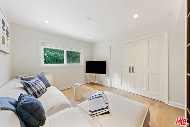 living room featuring light hardwood / wood-style flooring