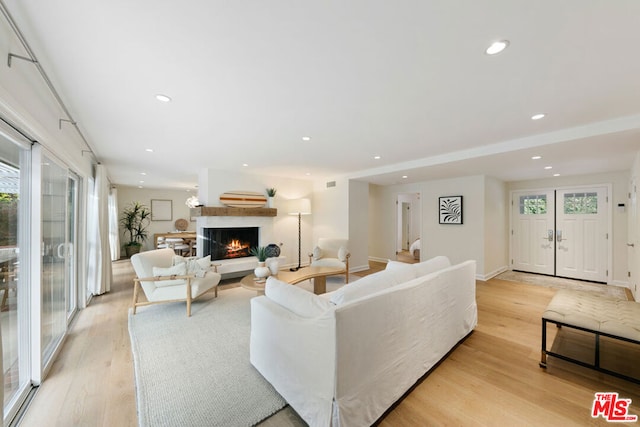 living room featuring light hardwood / wood-style floors and a healthy amount of sunlight