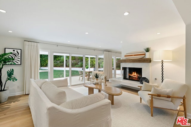 living room with light hardwood / wood-style floors