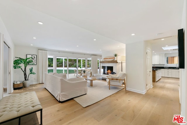 living room with light wood-type flooring