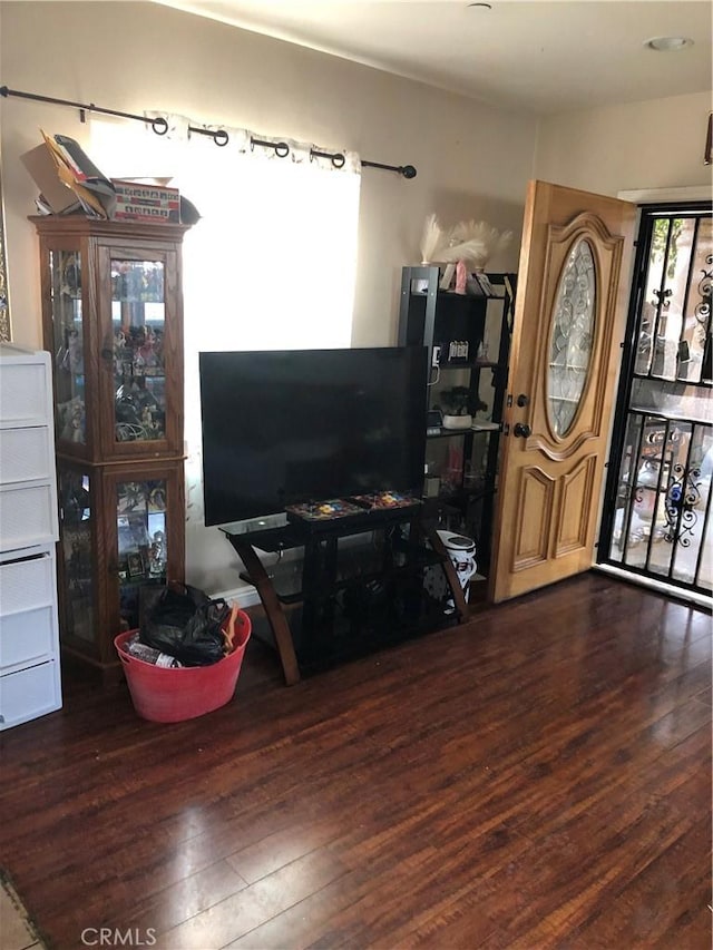 living room featuring dark wood-type flooring