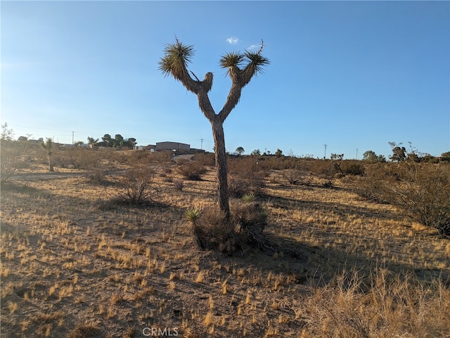 Listing photo 3 for 539 Delgada Ave, Yucca Valley CA 92284