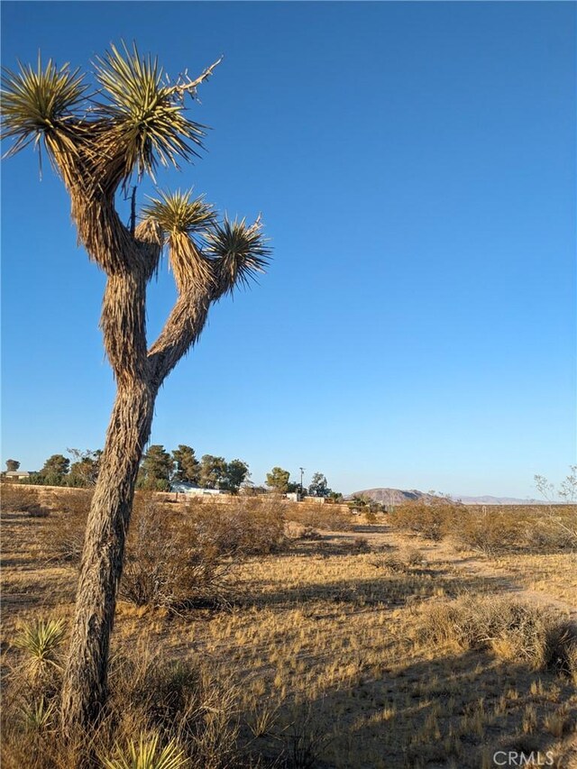 Listing photo 2 for 539 Delgada Ave, Yucca Valley CA 92284