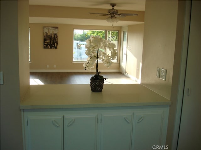 interior space with ceiling fan and hardwood / wood-style flooring