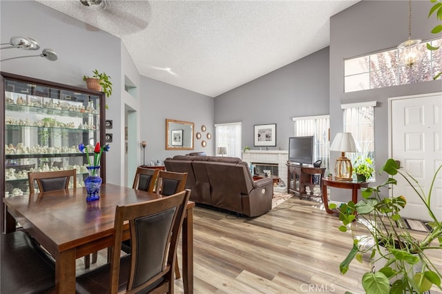 dining room with a textured ceiling, light hardwood / wood-style floors, and a healthy amount of sunlight