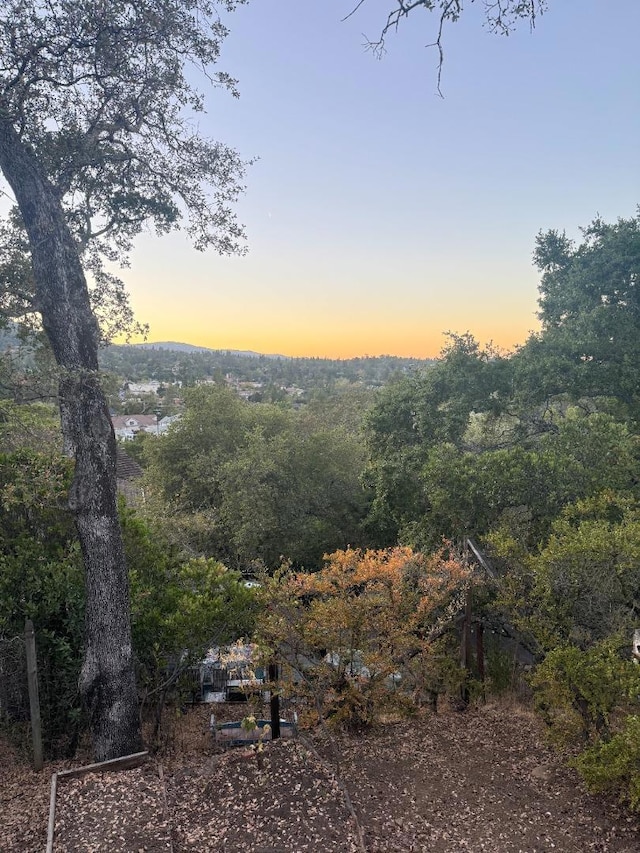 view of nature at dusk