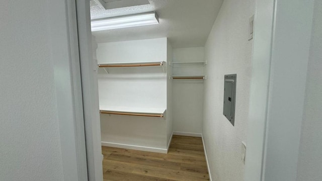 walk in closet with electric panel and light hardwood / wood-style floors