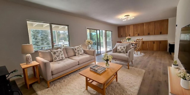 living room with light hardwood / wood-style flooring