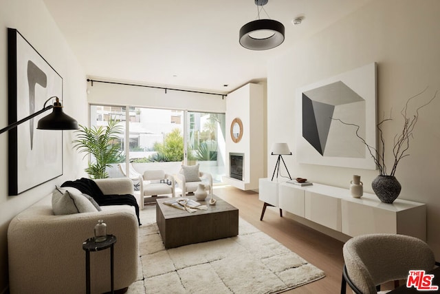 living room with light wood-type flooring