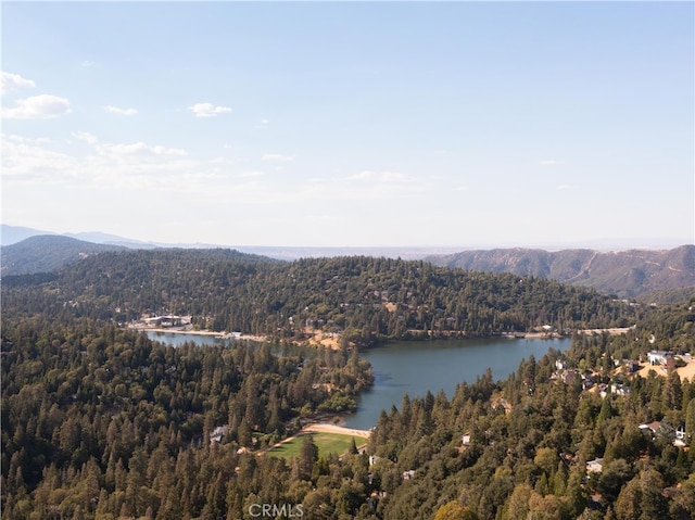 drone / aerial view featuring a water and mountain view