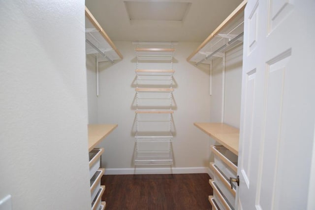 spacious closet with dark wood-type flooring