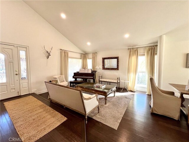 living room featuring high vaulted ceiling, dark wood-type flooring, and a healthy amount of sunlight