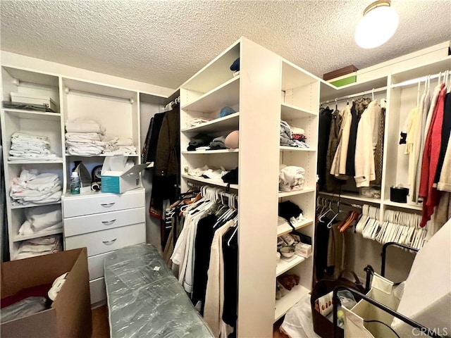 view of walk in closet