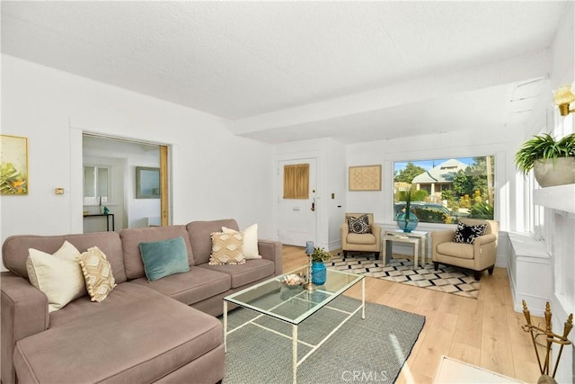 3959 Denker Ave, Los Angeles, CA 90062 - living room with wood finished floors and a textured ceiling