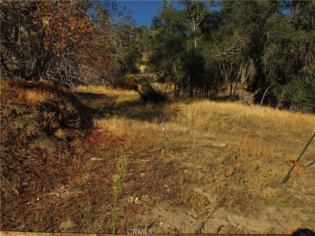 Listing photo 3 for 2AC Old Oaks Ct, North Fork CA 93643