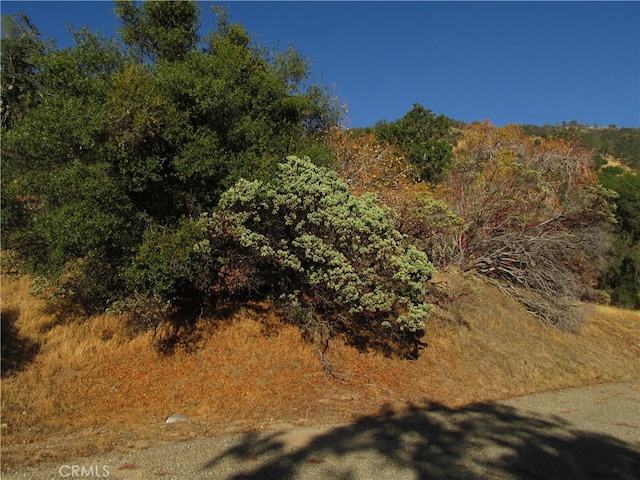 2AC Old Oaks Ct, North Fork CA, 93643 land for sale