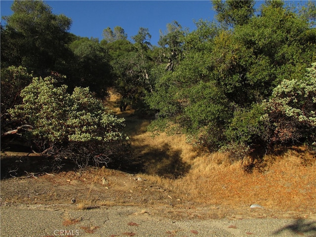 Listing photo 2 for 2AC Old Oaks Ct, North Fork CA 93643