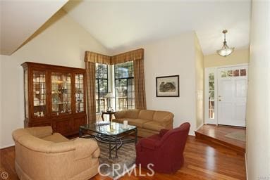 living room featuring dark wood-type flooring and high vaulted ceiling