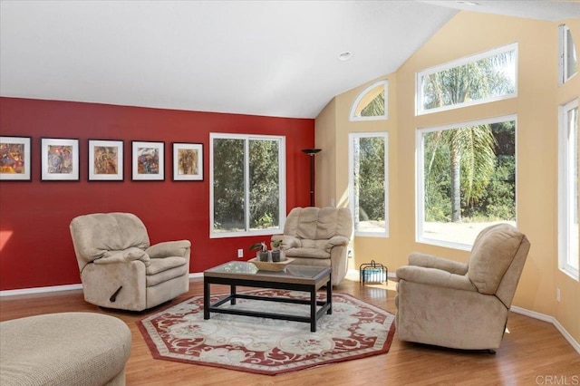 interior space featuring hardwood / wood-style flooring, vaulted ceiling, and a healthy amount of sunlight