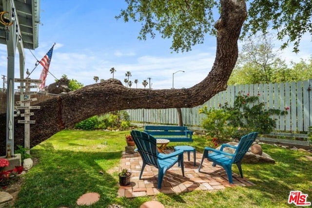 view of yard featuring a patio area